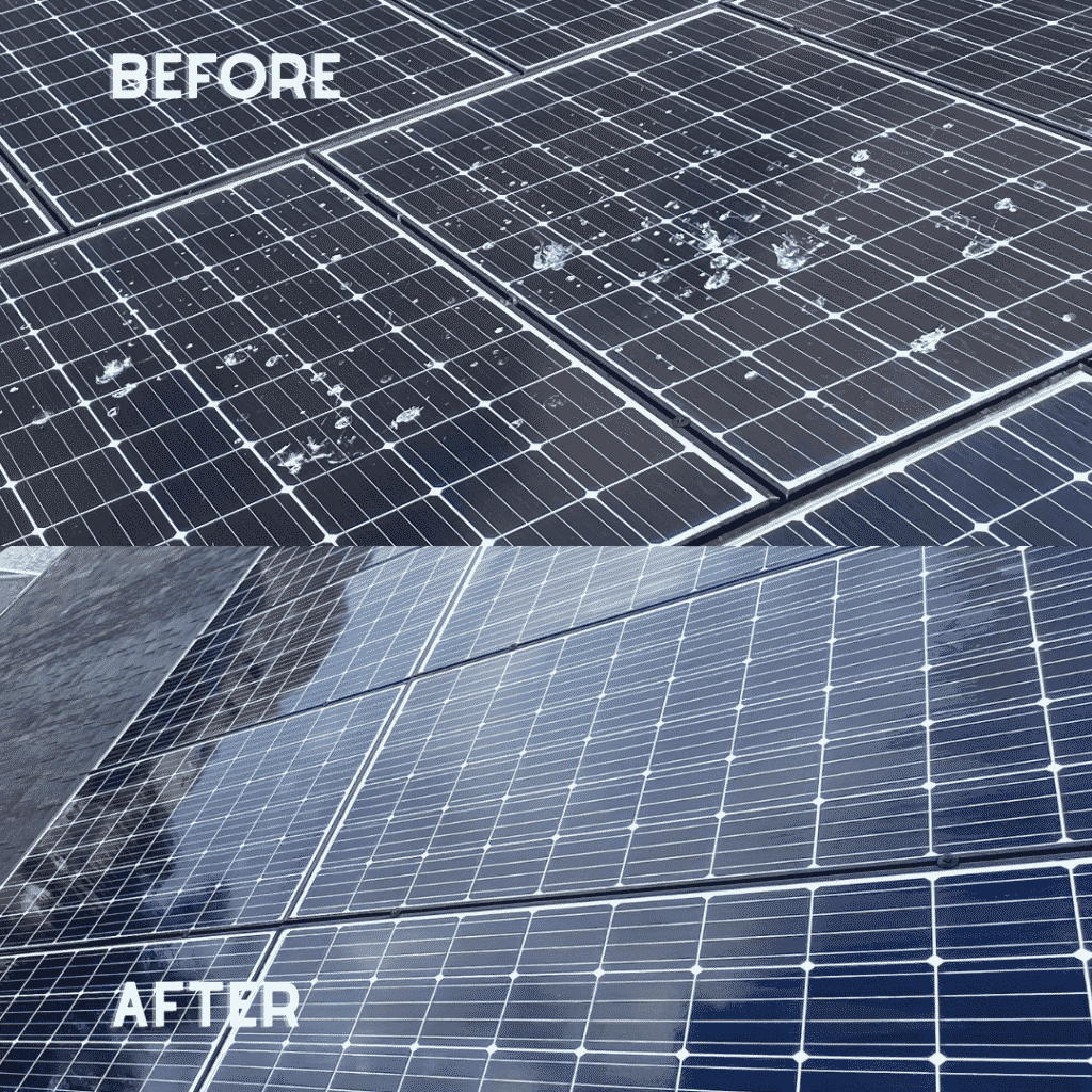 Before and After Sunny Sparkles Solar Cleaning
